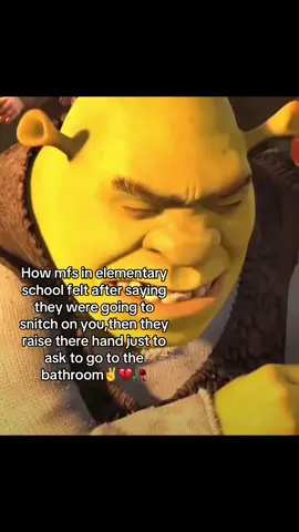 Ts used to pmo#meme#giftok #tragetaudience #fyp#viral #sherk#tiktok#blowthisup #relatable 