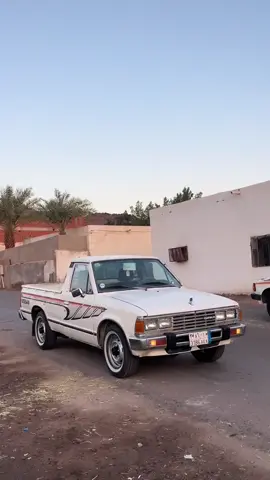 #المشا 