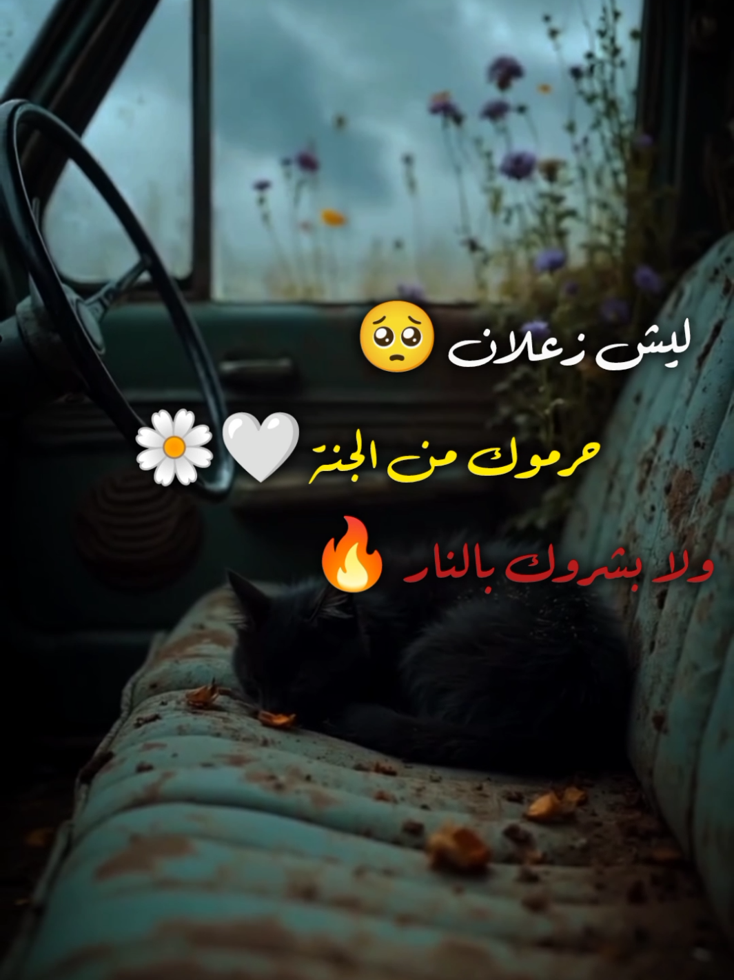 ليش زعلان 🥺🥀#fypシ #fyp #ايات_قرآنية #_قرآنية_قصيرة_خاشعة #قران #قران_كريم 
