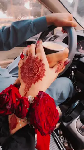 #lovebirds 💕#ظفار_صلاله_سلطنة_عمان #loveyourself #loveyouall💕 #viraltiktok #fypシ #🇵🇰🇵🇰🇵🇰🇴🇲🇴🇲🇴🇲 
