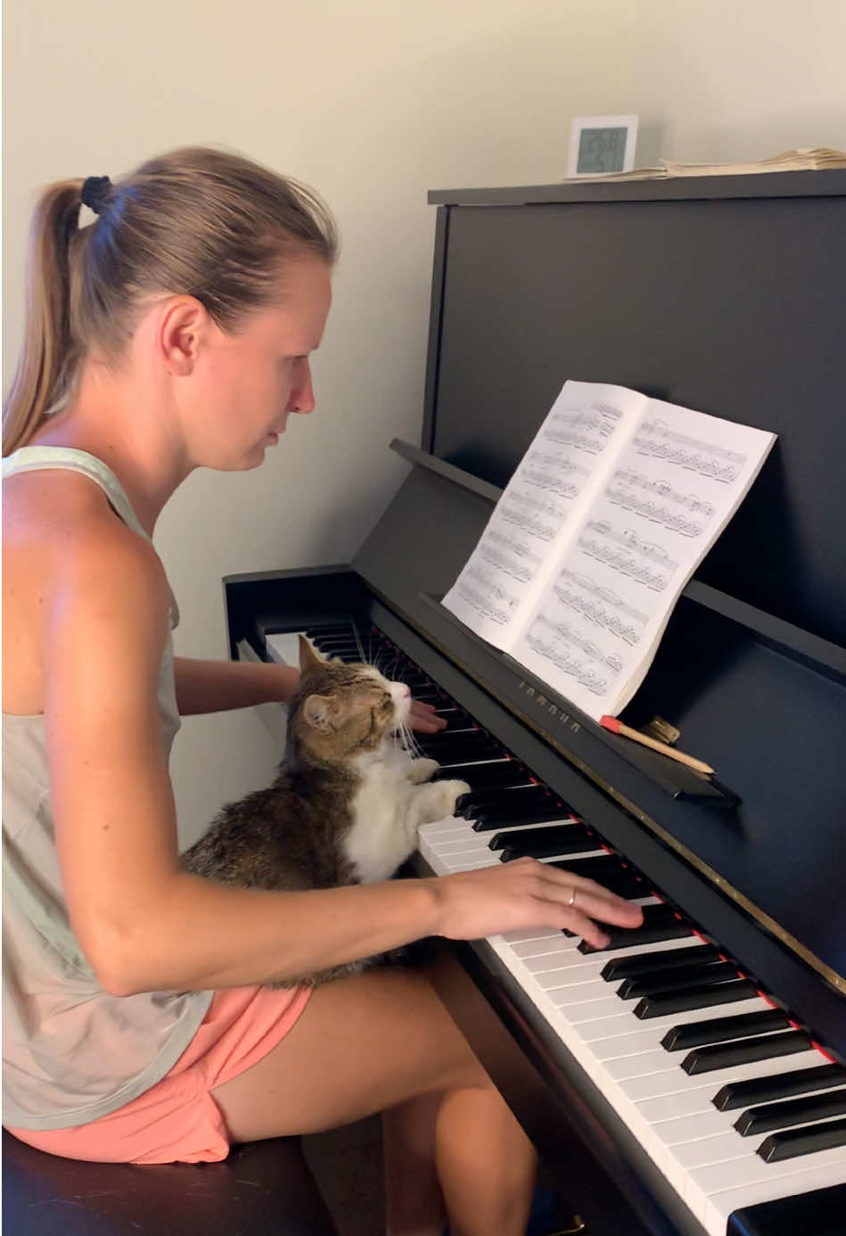 Practicing with Zlatko (F. Chopin - Nocturne Op. 9 N.1) ➡️ BUY ZLATKO’S MERCH OR FEED HIM AND GET TAGGED: 🔗 Store, PayPal and Revolut links in bio! @pianists_mariana.dimcho  @runners_dimcho.mariana  #pianopractice #practice #concertpianist #classicalpianist #pianist #pianistsofinstagram #pianistlife #pianists #pianistofinstagram #musik #music #musician #klavier #klavierspielen #klaviermusik #klavierlernen #homesweethome #catlover #catlife #catlovers #cats #cats_of_world #catvideos #catvideo #catoninstagram #catpianist #chopin #nocturne #nocturne1 #nocturneop9no1 
