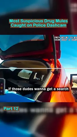 Part 12 - Most Suspicious Drug Mules Caught on Police Dashcam