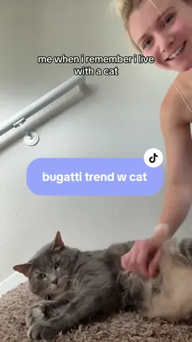 she was purring don’t worry🤝🏻 #bugatti #fyp #cats #catsoftiktok #iwokeupinanewbugatti #funnyanimals 