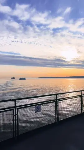 🌅 Pacific Northwest sunsets hit different. From Puget Sound to the Olympic coast, these skies have inspired explorers & artists for centuries. 📍Tip: Best views = west-facing beaches like Rialto, Deception Pass & Golden Gardens. #PNWsunset #PNWtravel #naturetherapy #sunsetmagic #onthisday 