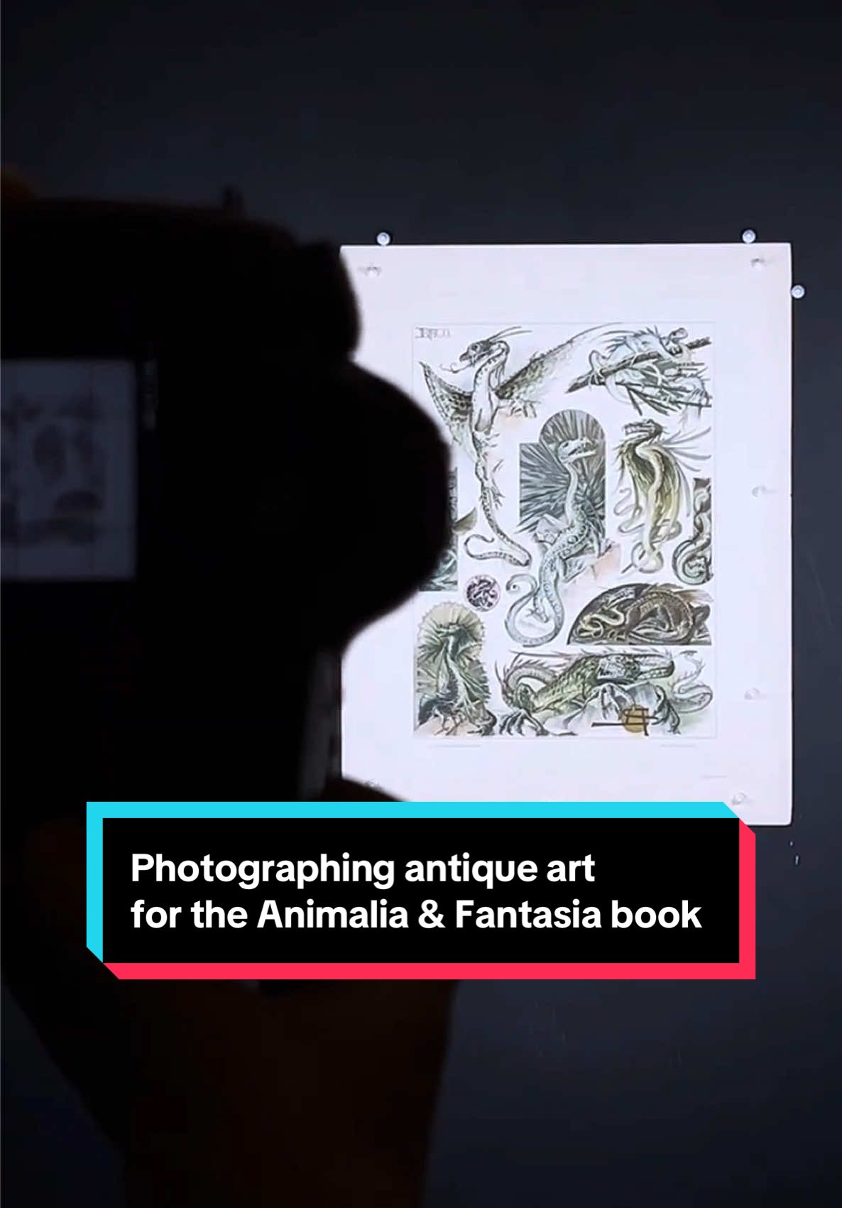 Come behind the scenes with us to photograph rare antique artworks for our next book 🐉📚 #BookTok #BookPublishing #FantasyArt #ArtNouveau 