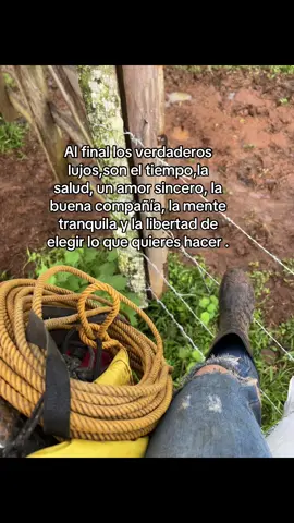#contenido #fracesapoyo#virall #paratiiiiiiiiiiiiiiiiiiiiiiiiiiiiiii #finca #pypシ #chamba #solo#somos #una#ves#enlavida#🤍🍃