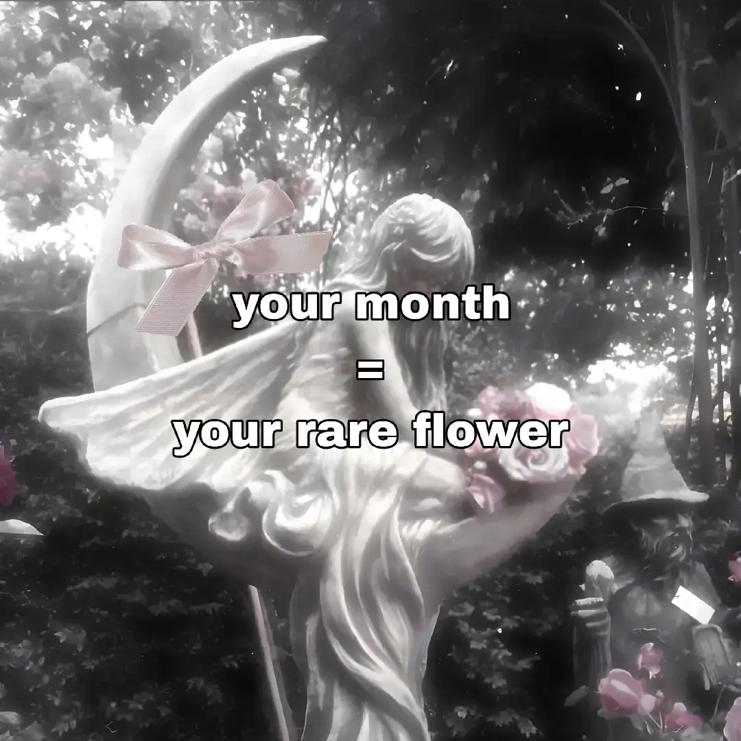 #yourmonth #flowers #beaty #you #january #february #march #april #may #june #july #august #september #october #november #december #foryoupage 