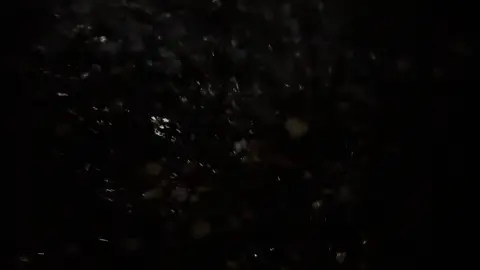 #فـالـح 