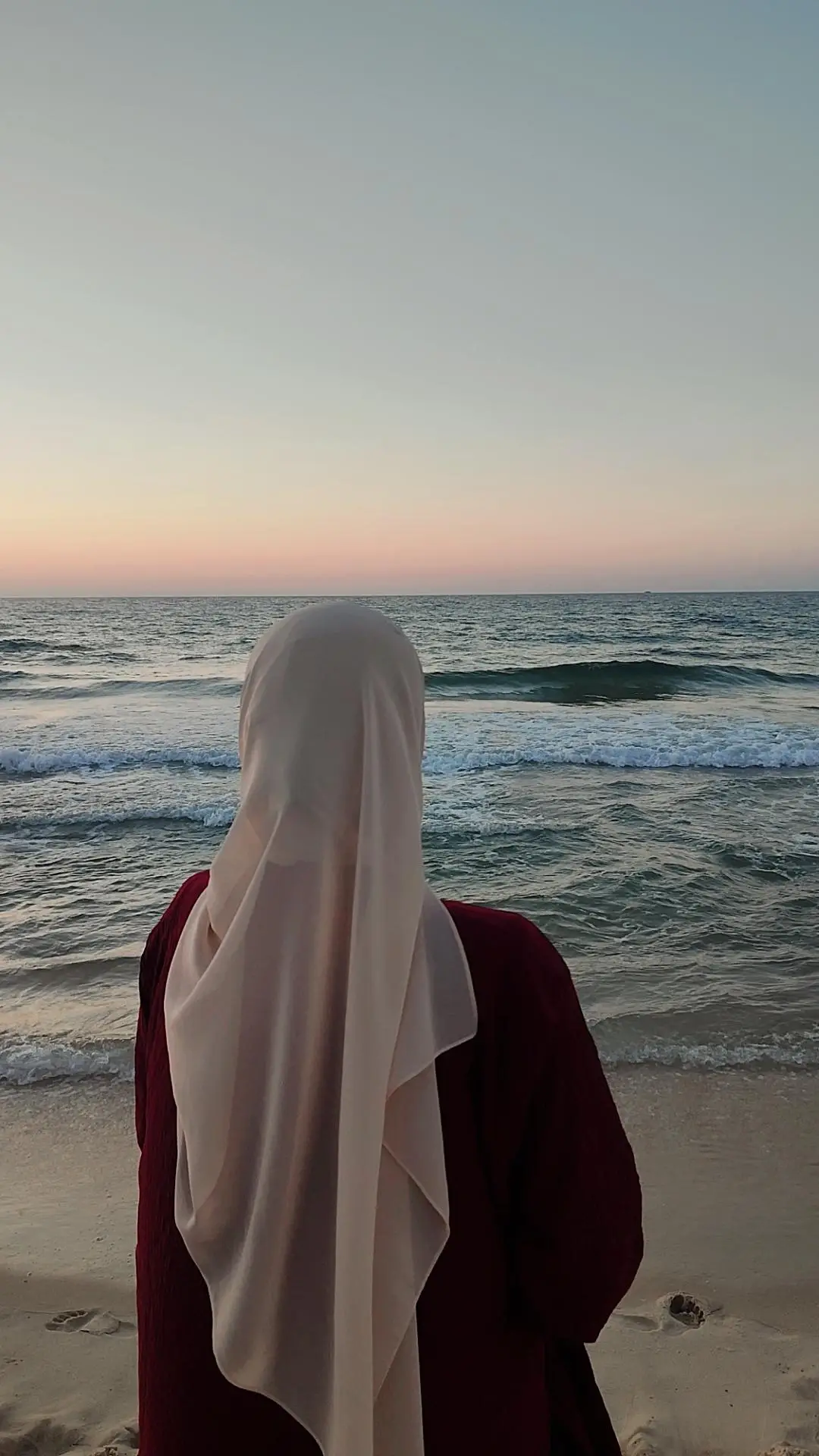 #العريش