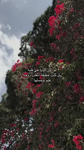 #مالي_خلق_احط_هاشتاقات🦦  #foru 