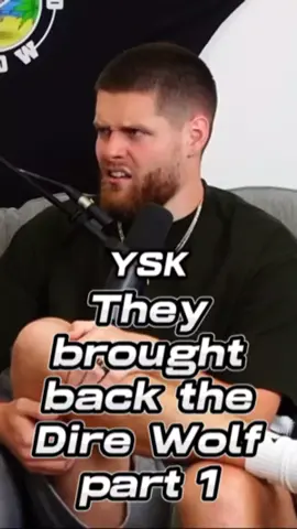 BRING THE DIRE WOLF #youshouldknowpodcast #ysk #podcasts #fyp 