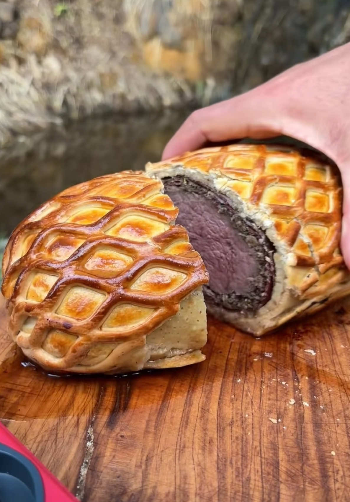 Beef wellington / fish tacos #tiktokfood #asmrsounds #asmr #cooking #Recipe #forestcooking #mountains #fyp #outdoorcooking #yummy #trending #usa #americanfood #italianfood #uk #CapCut 