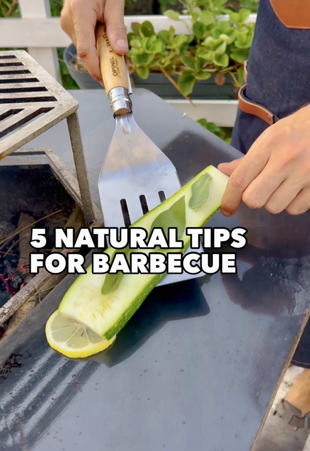 5 Natural Tips for your summer barbecue 🔥💚 If you want to avoid food sticking to your grill, you will love some of these tips I’m sure! #barbecue #gardening 