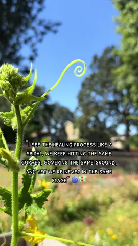 #healing #spiral #nature #beauty #HealingJourney #healingtiktok #God 