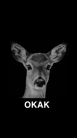 #memestiktok #рекомендации 