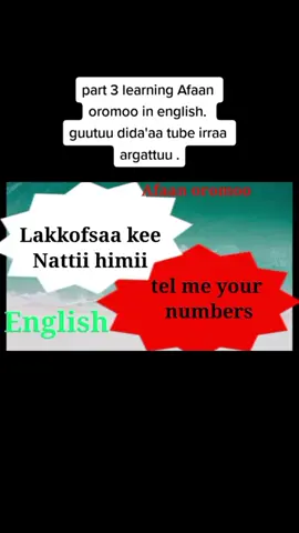 #onthisday #ethiopian_tik_tok🇪🇹🇪🇹🇪🇹🇪🇹 #oromo 