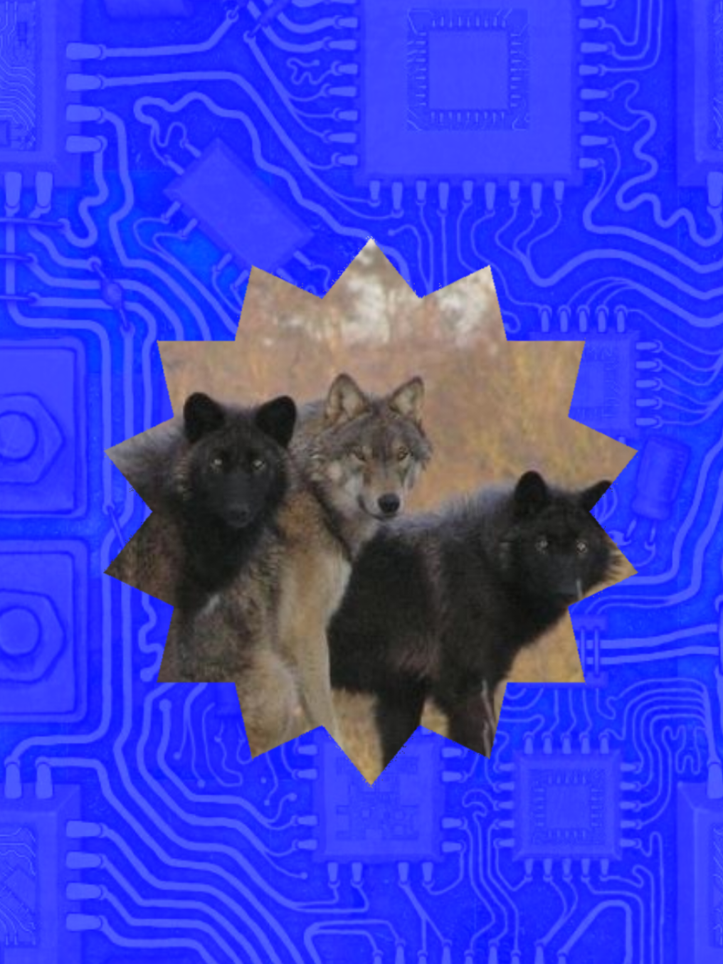 HERE YA GO! :3 @villa  #Moodboard #moodboardedits #wolves #fypシ #fypシ 