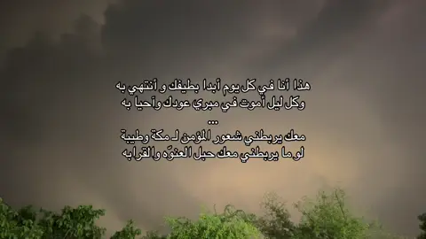 #ليل #الوليد_ال_عامر #شيلات #هواجيس_الليل⬛ 