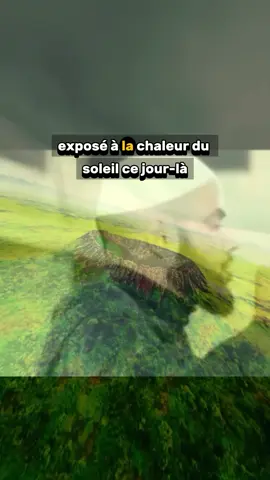 Rappel islamique  #creatorsearchinsights #rappels_islam #islamic_video #muslim #pourvous 