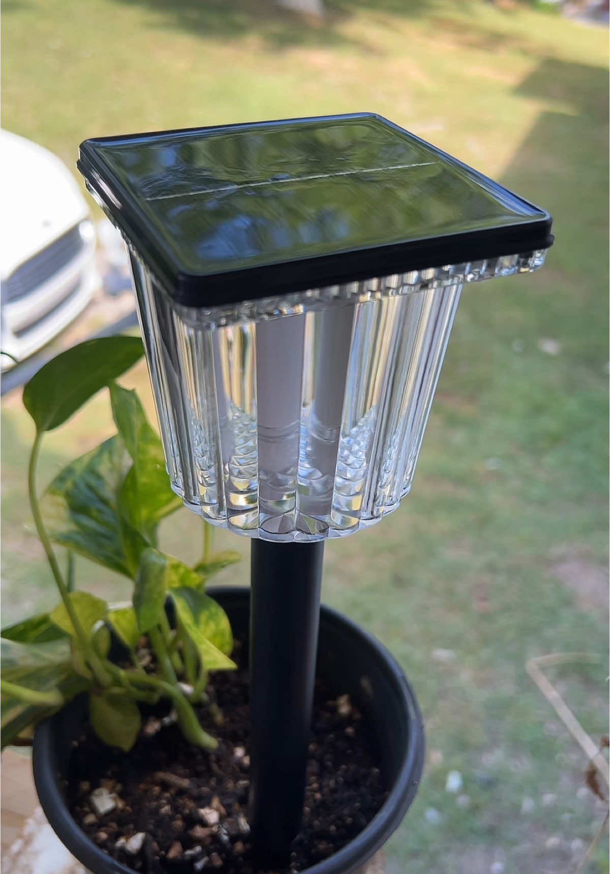 #solarpathwaylights #solar #ventas #foryu #parati 