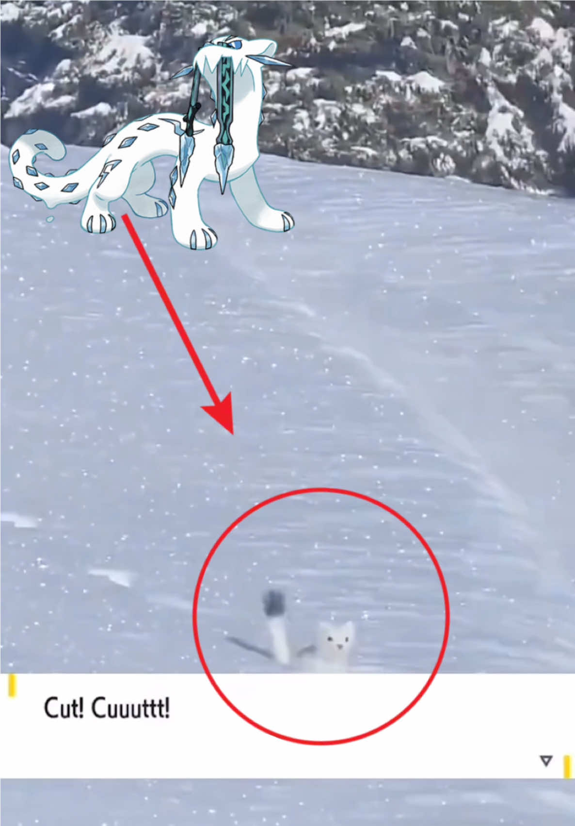 Blud is NOT Chien-Pao 😭 #elninotatem #pokemon #vgc #pokemonvgc #pokemoncommunity #pokemonscarletandviolet #pokemontiktok 