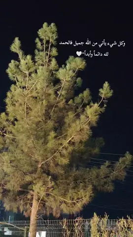 الحمد لله 🤍#اكتب_شي_توجر_عليه #الحمدلله_دائماً_وابداً #يارب #تصويري_احترافي_الاجواء #اكسبلور #fyp #foryou 
