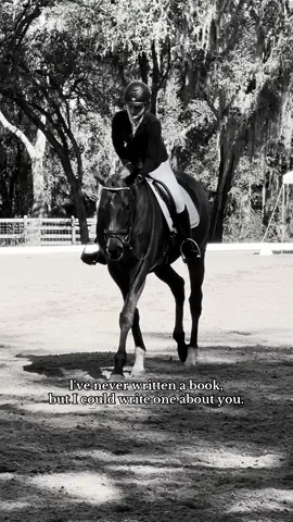 that would be one long book. #equestrianlife #horsesoftiktok #ottbsdoitbest #goviral #equestriansoftiktok 