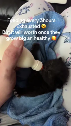 Some say it’s just a animal,but I see it as God created this life for reason…we humans have to look after weaker as all animals and pets are too innocent and everybody deserves the chance to live.🥰