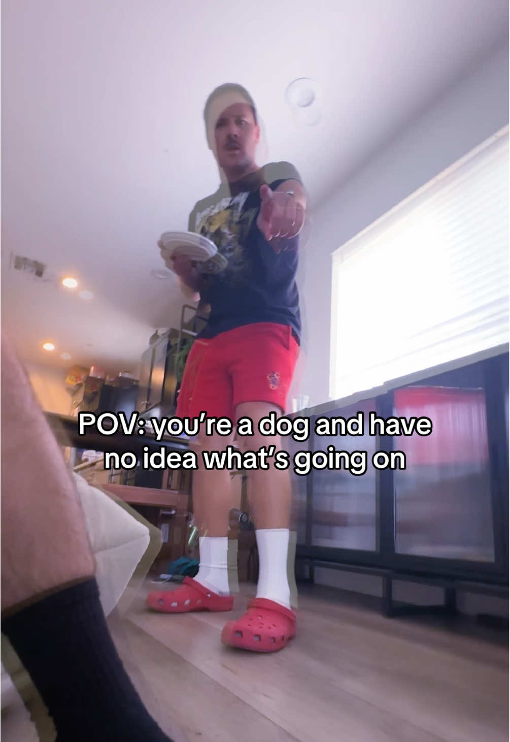 Honestly must be pretty confusing @RyanTheLeader @Matt Shaver #dog #dogsoftiktok #dogs #pets #pov #skit #funny  