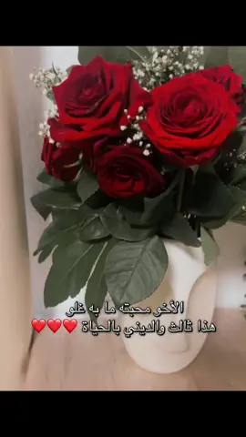 الأخو محبته ما به غلو هذا ثالث والديني بالحياة .❤️❤️❤️#اختي_حبيبتي_وضي_عيوني 