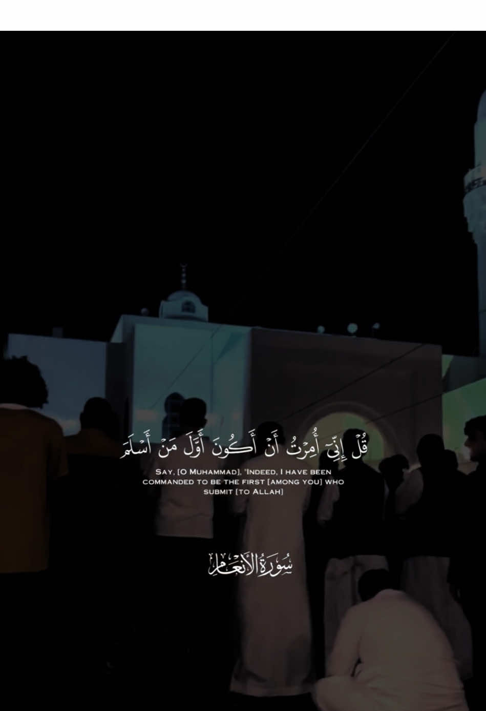 #خااد_الجليل #سورة_الانعام#قران 