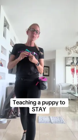 #DogTraining #fyp #dogtrainer #puppytraining #newpuppy 