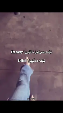 شیبال😜#viral #viralvideo #fyp #foryou #foryoupage #active #tiktok #shibal #kurd #kurdistan 