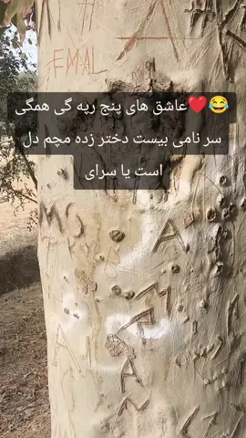 @خــم‍ ‍اࢪོے #yp 