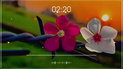 #سوی_چیغي_وکړمه_چی_رایادي_مازدیکرکړمه💔😢(N) #cctovideonotmine🥰🥰🥰 #cctovideonotmine #cctovideonotminevide #capcutvelocity 