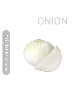 Onion meme 🧅✧! es mi segunda vez usando aligthmotion por si ven fallas, si quieren darme consejos con gustó las recibo, estoy tratando de mejorar en la animación y el personaje intente hacerlo más a mi estilo para que sea más fácil ya que intentarlo hacer al original es un poco complicado y no queda idéntico, muchas gracias por el apoyo de mi primer video ¡espero que les guste! #onion #animationmeme #alightmotion_edit #edit #zeraora #pokemon 