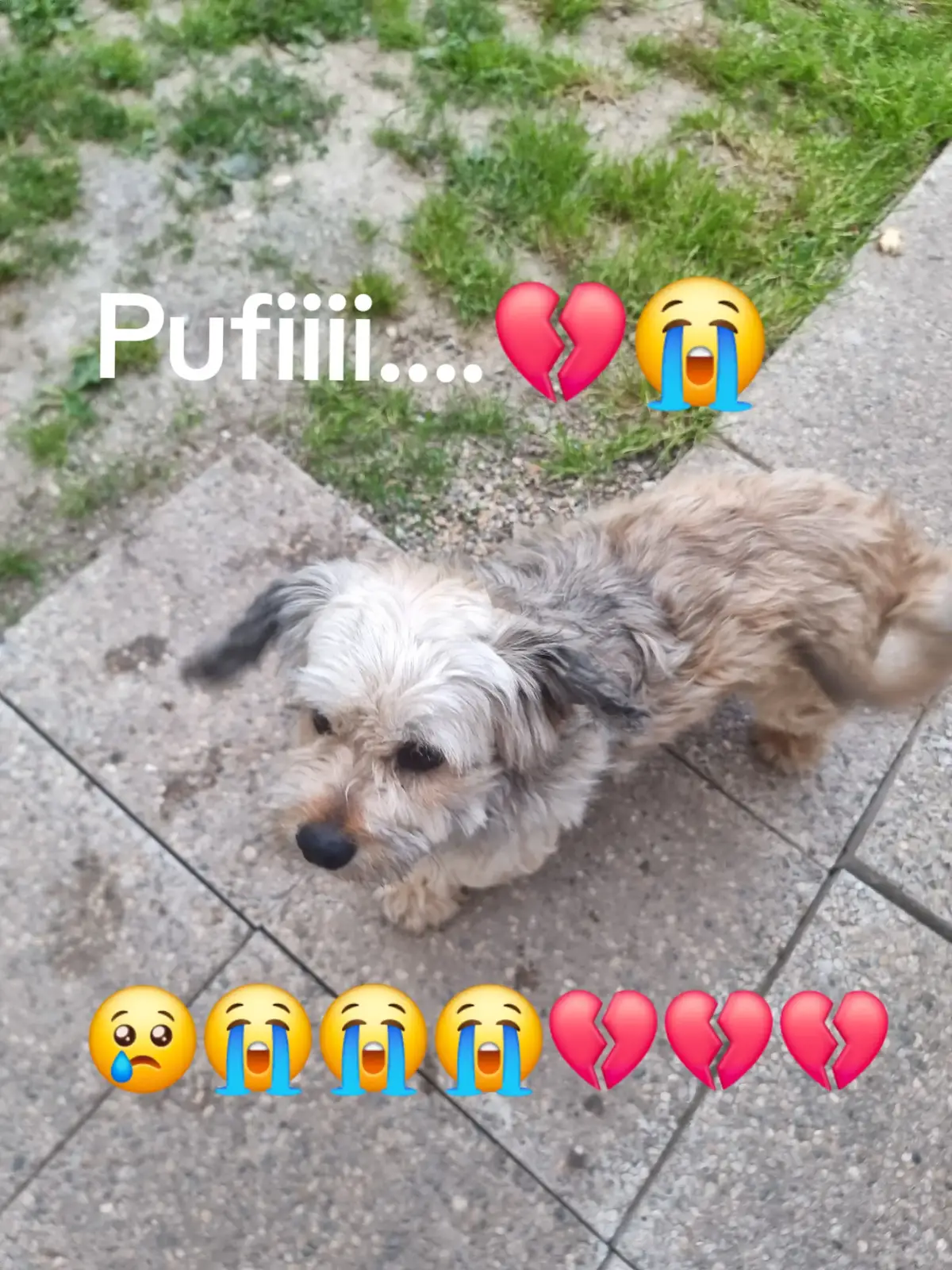 #💔💔💔 