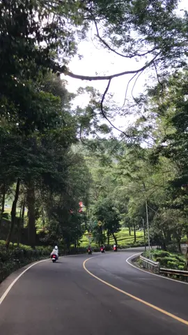 kalau kamu lagi penat, tempat ini wajib kamu datangi…  #puncakbogor #foryou 