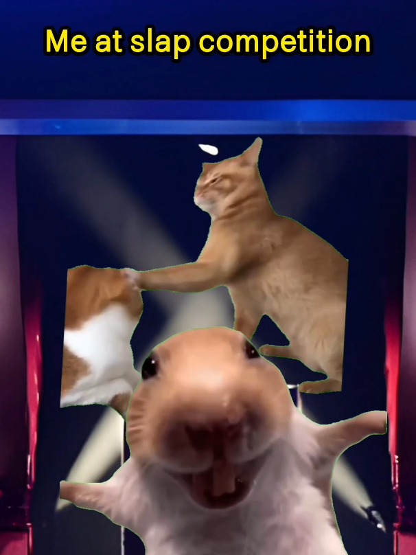Cat Superpower 😂 Cat Memes🐱 #catmemes #relatable #funny #superpower #fyp #foryoupage #foryou 