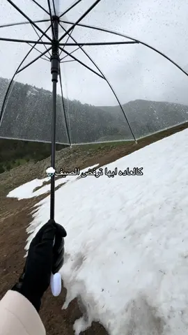 اجواء ابها خيال هذي اليومين🌧️#ابها #ابها_الان #ابها_عسير #امطار #الجنوب #ابها #امطار_ابها_اليوم #امطار_الجنوب #برد_ابها #fyp #الشعب_الصيني_ماله_حل😂😂 #foryou 