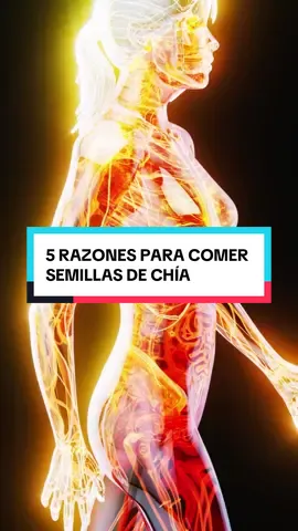 🔥 ¡5 Razones Por Las Que NECESITAS Comer Semillas De Chía En 2025! 🌱💪 DESCUBRE el MEGA PACK Salud Natural ENLACE EN LA BIO 👆 💬 ¿Desde dónde nos estás viendo? Cuéntanos en los comentarios 📲 Síguenos para optimizar tu salud #salud #saludybienestar #rendimiento #consejos #vidasana #vitalidad #remedios #chia #semillasdechia 