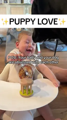 Name a better feeling than watching your baby and furbaby love each other #babiesoftiktok #babiesanddogs 