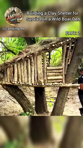 Building a Clay shelter for survival in a Wild Boar Den. PT2 #camping #building #campinglife #bushcraft #Outdoors #survival #outdoor #shelter #asmr #SATISFYING #viral #foryou 