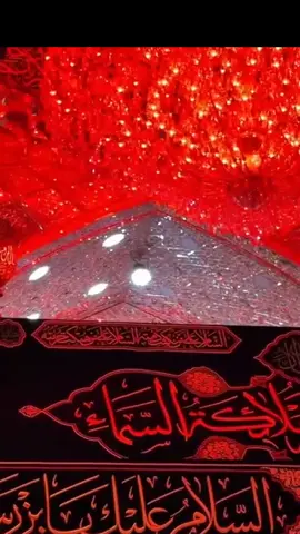 #يااباعبدالله_الحسين #ياشهيدكربلاءياحسين 