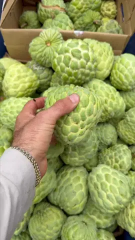 Our first PPC (Phet Pak Chong) Atemoya harvest! 💚 This cherimoya x sugar apple hybrid has a great flesh to seed ratio and is sweet and juicy like sugar apple. It’s 75% sugar apple and 25% cherimoya. It’s basically a large sugar apple with less seeds!  Now available in limited quantity at miamifruit.org 🌈 #ppc #ppcatemoya #PhetPakChong #miamifruit #tropicalfruit #atemoya #annona 