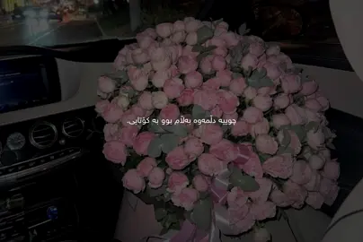 ilyas Yalçintas - Feride Hilal Akin | Sehrin Yolu #fyp #foryou #ilyasyalçıntaş #m_surchi14 #kurdistan #hawler #viral #foryoupage 