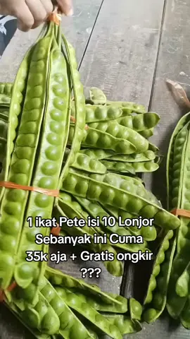 Pete atau petai memiliki berbagai manfaat bagi kesehatan tubuh, antara lain menjaga kesehatan pencernaan, mengontrol gula darah, menjaga kesehatan jantung, meningkatkan daya tahan tubuh, dan memberikan efek menenangkan. #promomakangajian #sayuransehat #sayuransegar #sayuran #pete #petai #peuteuy 