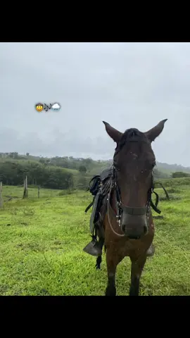 🤠.