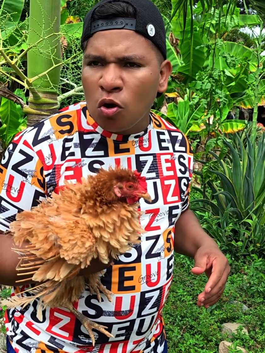 esa gallina no tiene cabello #humor #comedia #viral 