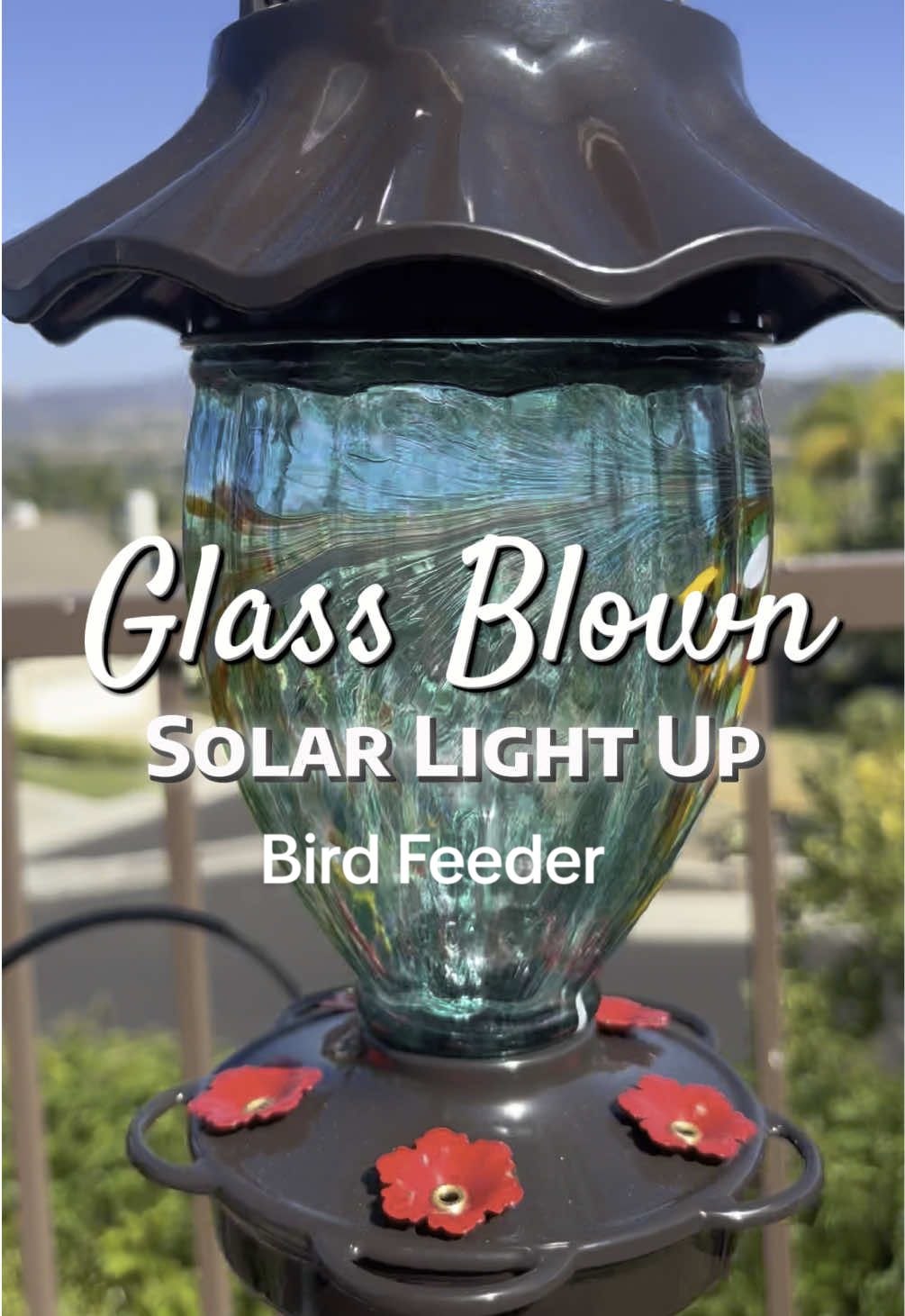 Glass blown solar light up hummingbird feeder #birdfeeder #hummingbirdfeeder #hummingbird #feeders #birdlovers #birds #backyardvibes 